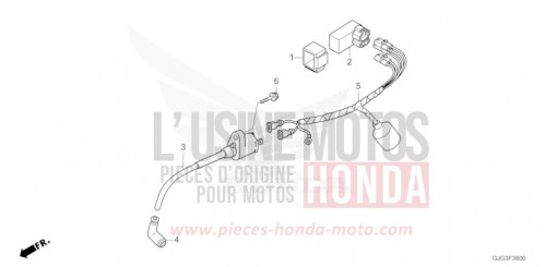 FAISCEAU DES FILS CRF50FN de 2022